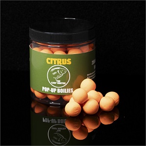 Pop up Citrus 16mm