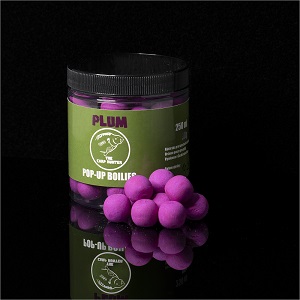Pop up Plum 16mm