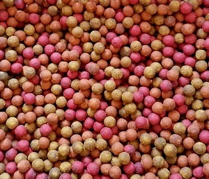 Feed Boilies Fruities 1kg
